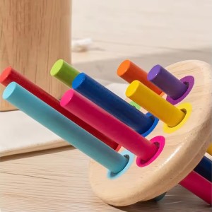 Montessori Games Cultivation of Color Cognition Developing Hands on Skills Easy to Store Educational Wooden Toys