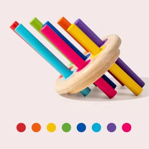 Montessori Games Cultivation of Color Cognition Developing Hands on Skills Easy to Store Educational Wooden Toys